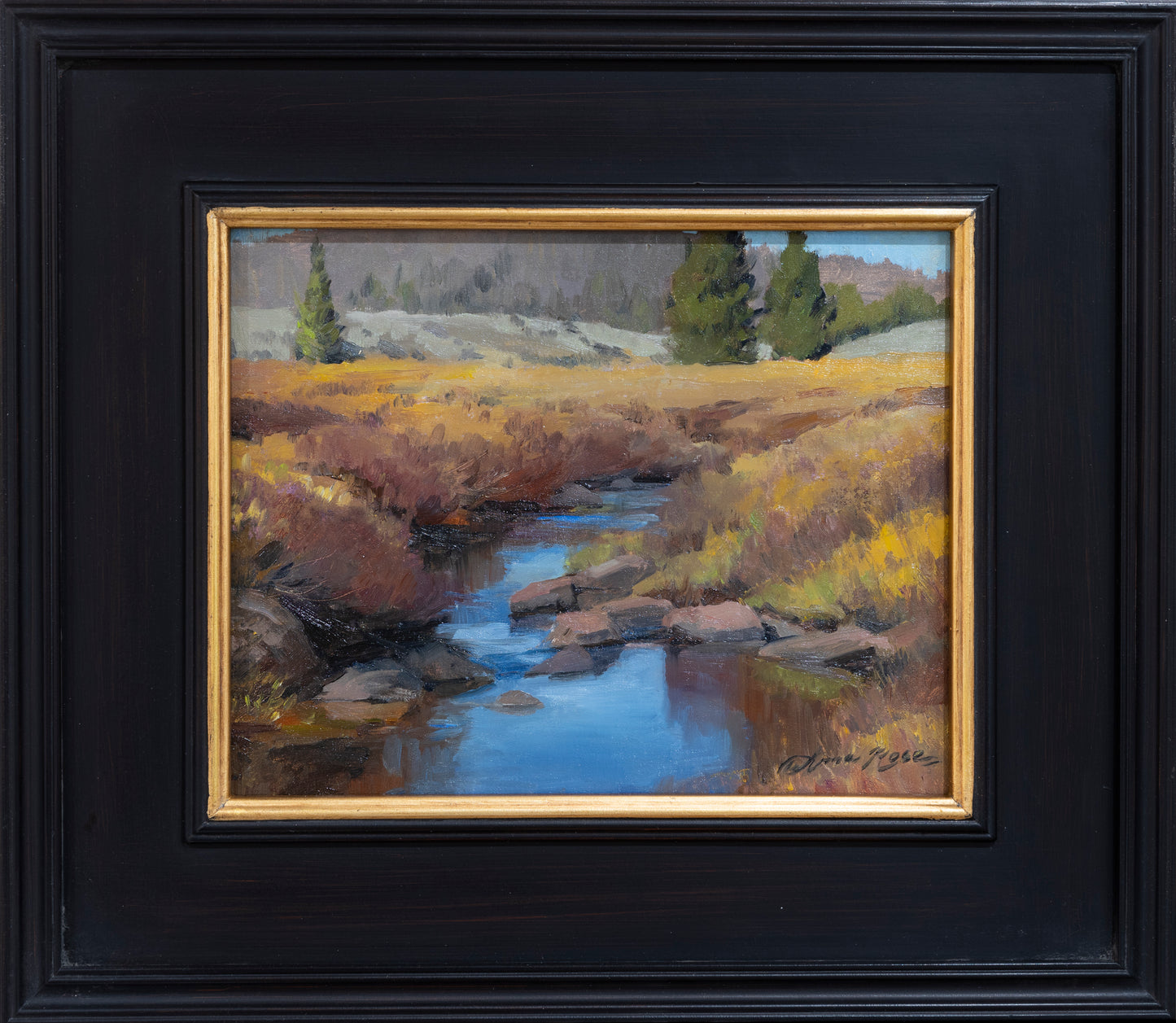 High Country Willows (Framed)