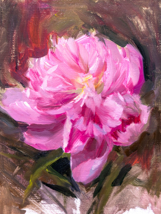 Peony Study